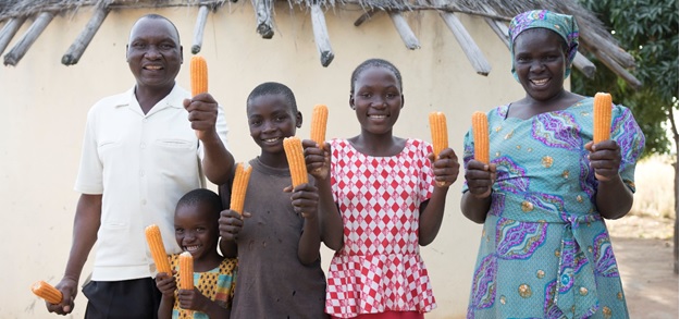 FACT SHEET: Nutrition Sensitive Agriculture Programming in Zimbabwe