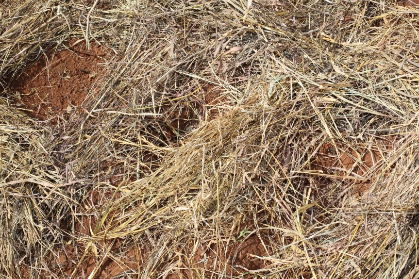 FACT SHEET: LFSP Pfumvudza Performance Results for 2019/20 Season