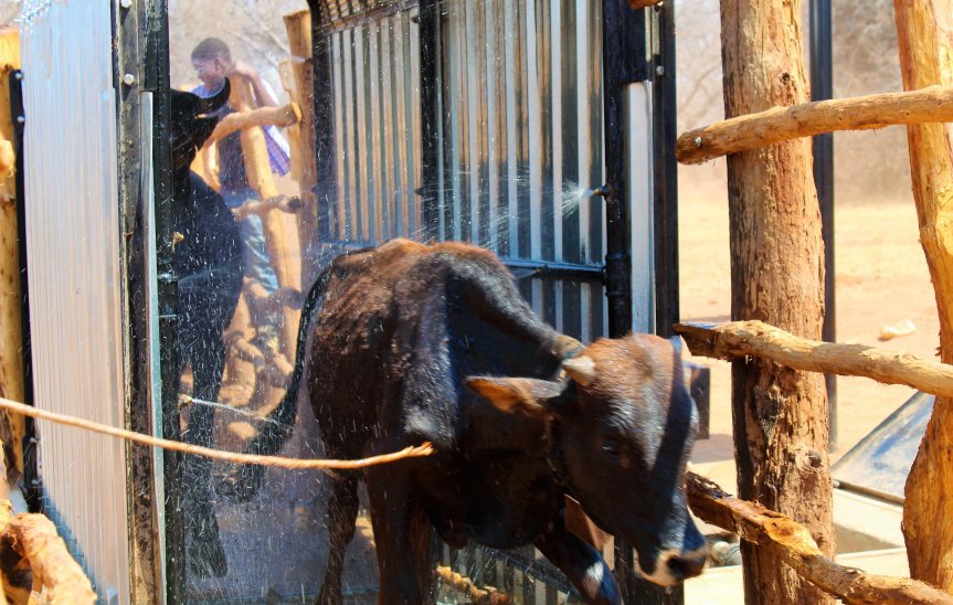 FACT SHEET: Farmer managed supply of Acaricides to communal dip tanks: Results and Lessons learnt